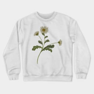 Daisy Crewneck Sweatshirt